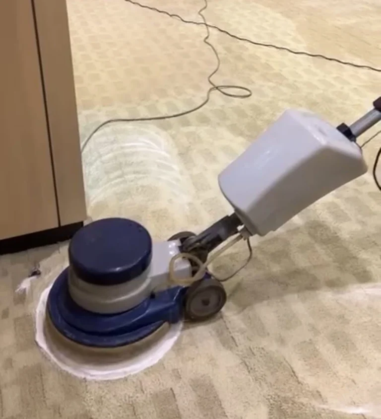 Carpet cleaning services